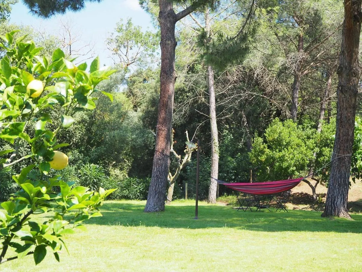 Alloggio per agriturismo Can Pitu Costabravasi Santa Cristina d'Aro